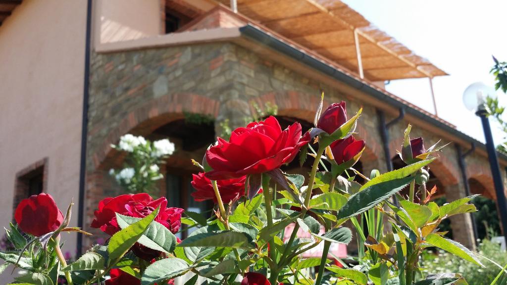 Agriturismo La Nocciolina Venturina Terme Eksteriør bilde