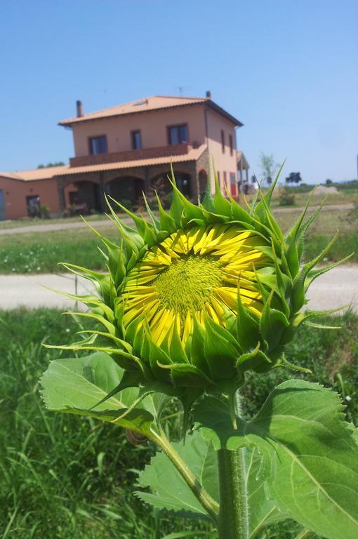 Agriturismo La Nocciolina Venturina Terme Eksteriør bilde