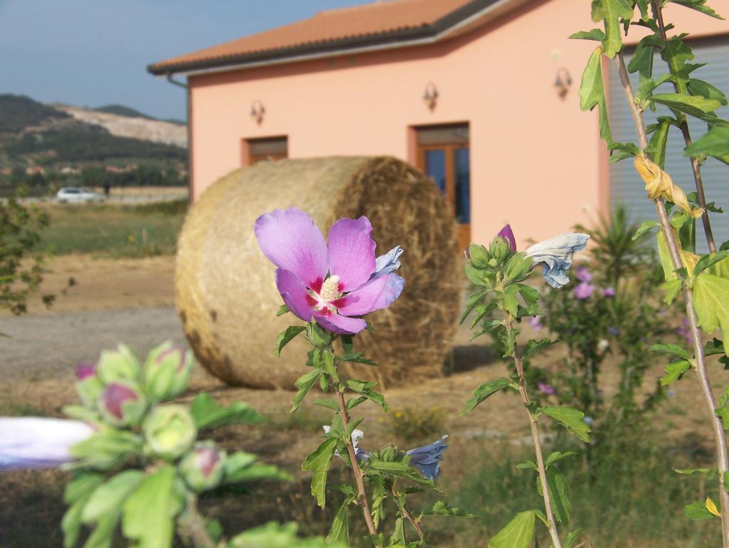 Agriturismo La Nocciolina Venturina Terme Eksteriør bilde