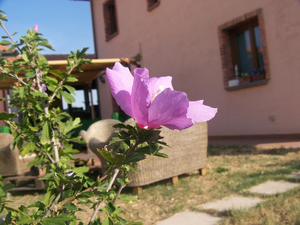 Agriturismo La Nocciolina Venturina Terme Eksteriør bilde